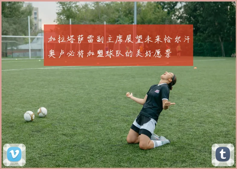 加拉塔萨雷副主席展望未来恰尔汗奥卢必将加盟球队的美好愿景
